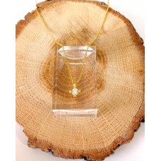 Ασημένιο κολιέ - επίχρυσο με ζιργκόν στο κέντρο (SN204)